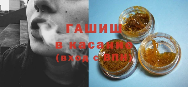 гидра Гусев