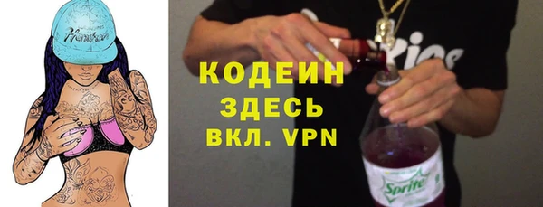 гидра Гусев