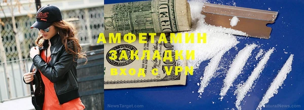 гидра Гусев