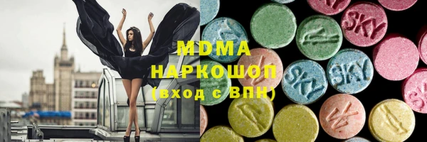 гидра Гусев
