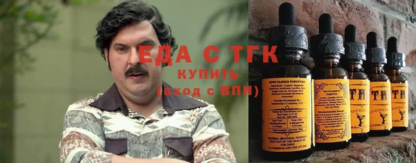 гидра Гусев