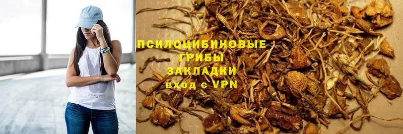 Псилоцибиновые грибы GOLDEN TEACHER  Данков 